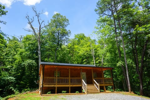 Entrance - Entrance to Cabin in the Woods