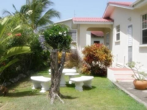 Back Garden