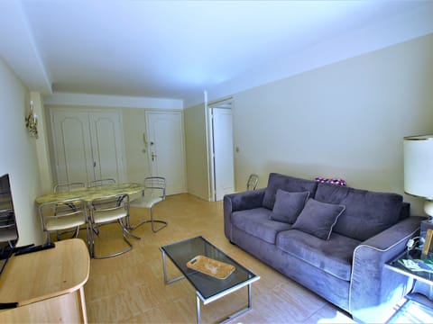 air conditioned living room equipped, TV, WIFI, sofa bed 2 sleeps