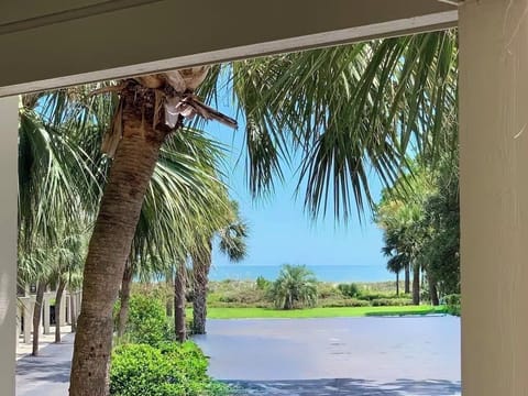 View from the balcony