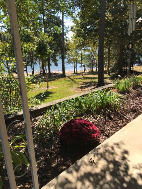 Beautiful lake view 