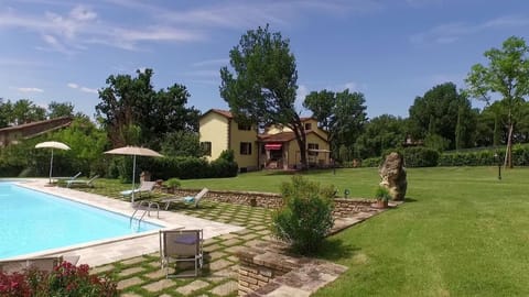 The garden with the luxurious pool