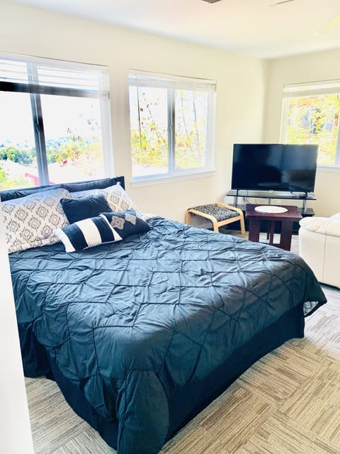 Queen sized bed and TV, with a partial view of the couch.