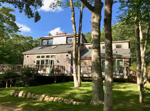 House is down a long driveway and is set amongst a grove of beech trees.