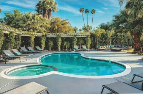  Gorgeous turquoise salt-water pool surrounded by palms and 12 chaise lounges