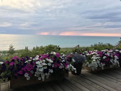 Beautiful beach side deck for watching sunsets!