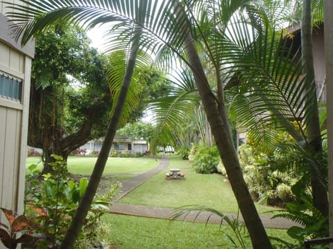Garden view