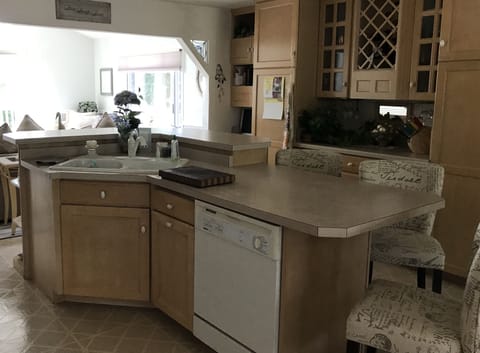 Kitchen island - dishwasher