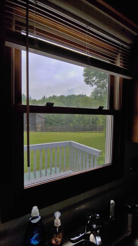 view from kitchen sink