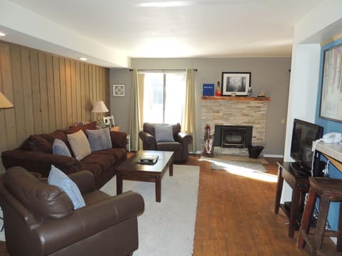 Living room and fireplace