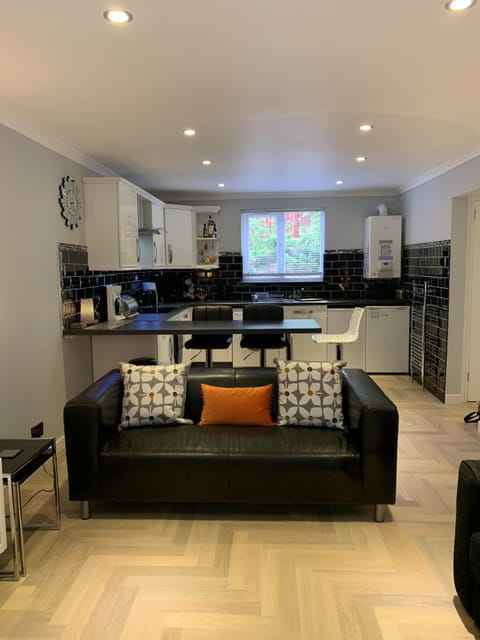 Spacious Open Plan Living Area