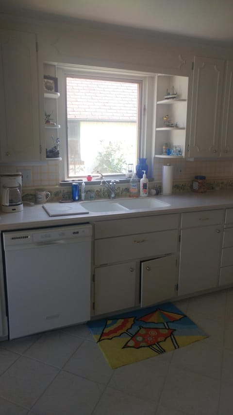 Kitchen sink and counter, dishwasher