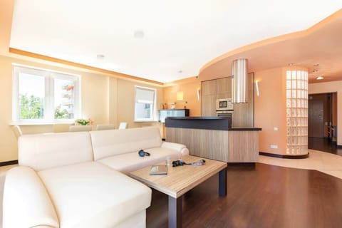 Comfortable, fold-out sofa in the living room. 