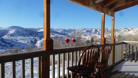 Winter view from the porch with fresh juice from the champion juicer.
