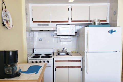 Kitchenette w/ full size refrigerator, 2 burner stove, mini oven, microwave, toaster oven, coffee maker, crock pot, cookware, plates & utensils.