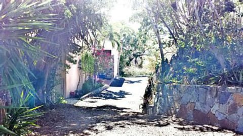Driveway approaching parking area just south of the villa.