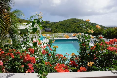 LARGEST PRIVATE POOL ON ST JOHN