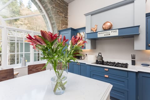 The kitchen island and gas hob