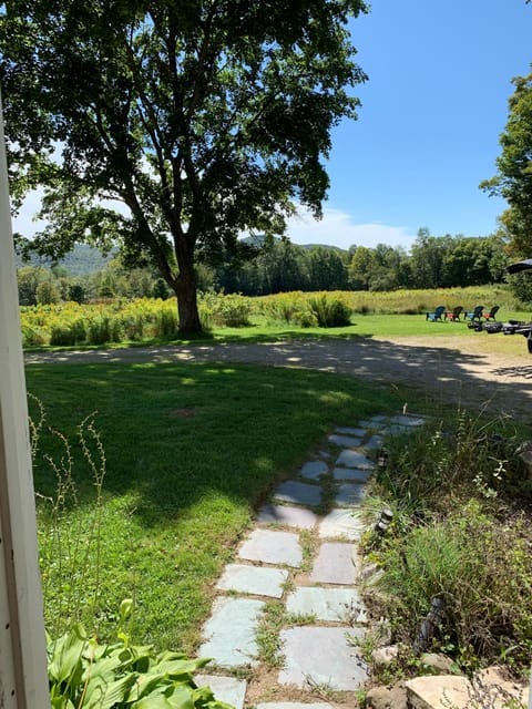 View out of Three Season Porch ... main entrance pathway 