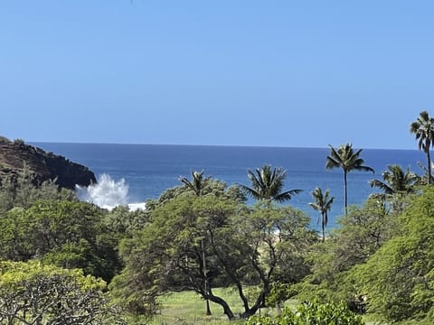 One of the only units with views of crashing surf on Kiaka Rock and Kephui Beach