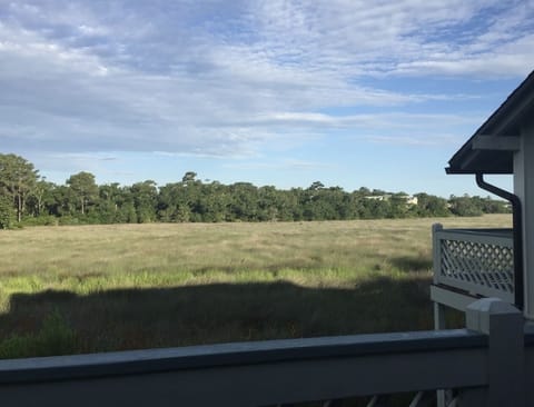 View of the Marsh from the Deck