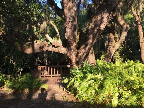 Backyard with deck overlooking the creek.