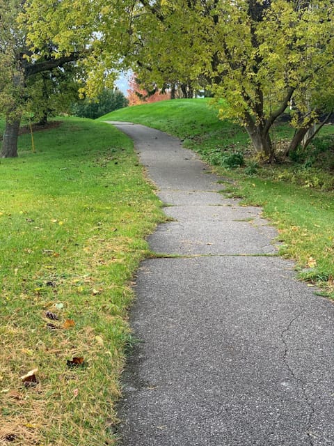 Convenient bike path behind the property 
