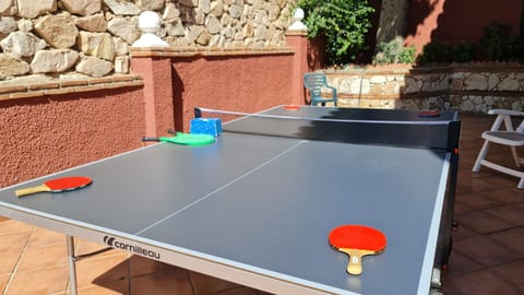 Ping Pong table