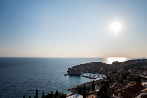 View