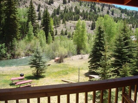 View from Upper Deck