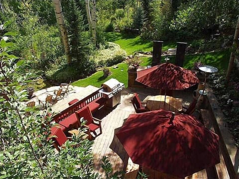 Spectacular outdoor living area with large deck, BBQ, stream