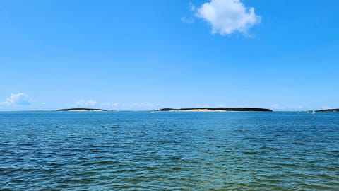 Wonderful views of Wellfleet Harbor and Great Island from this waterfront cottage