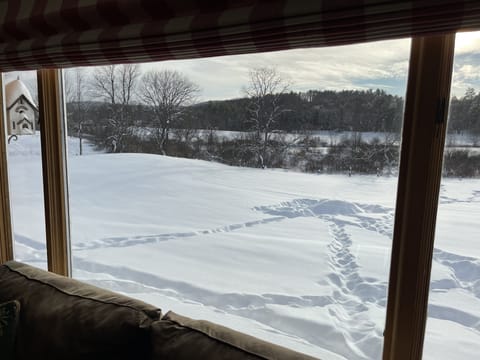 Great yard for sledding