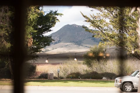 Front window view of Madonna 