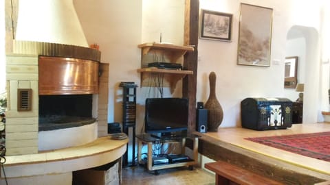 Living area and fireplace