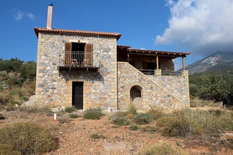 Main view