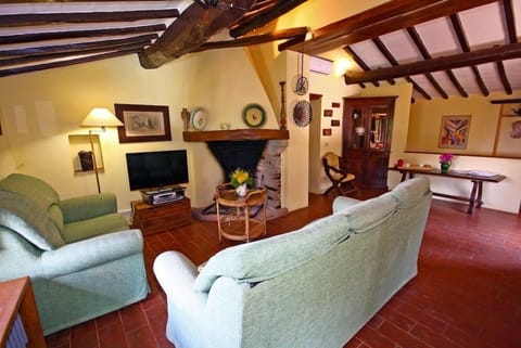 living room with the fireplace