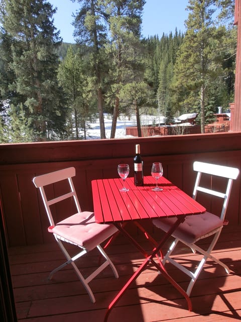 balcony view towards hot tub
and pitchfork lift