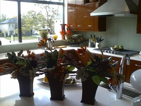 Gourmet Kitchen