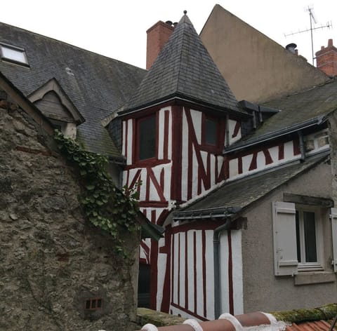 View from the garden