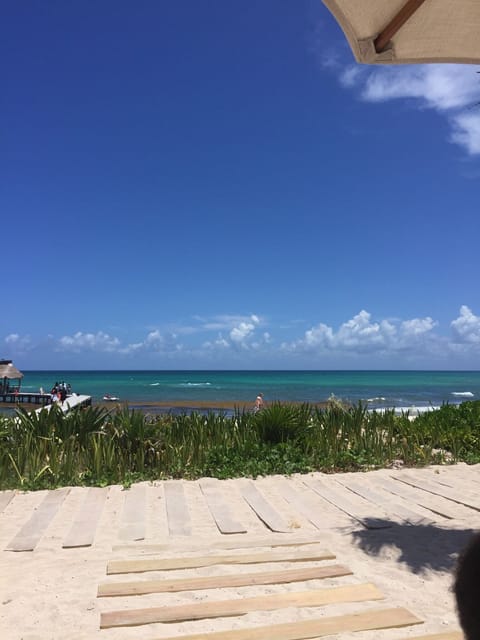 View from the beach club on the beach