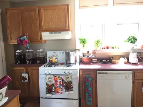 Cozy kitchen with gas fireplace, kombucha, and dry storage.