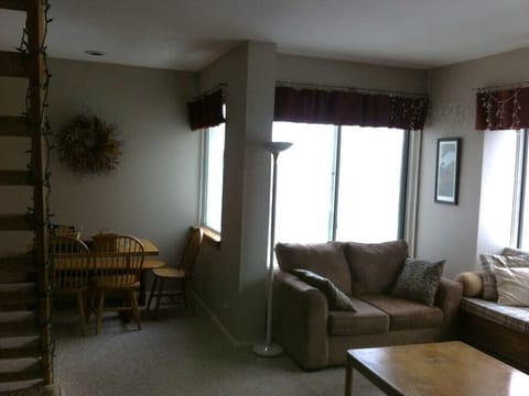 Living room and dining room with many large windows