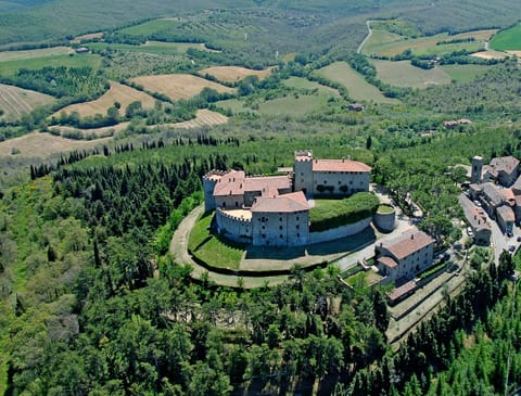 Castello di Montegiove and La Casetta seen from above.