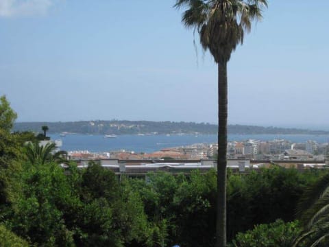 view from the terrace