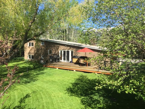 Back patio and yard.
