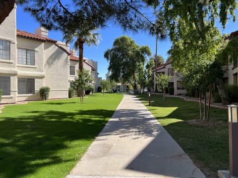 Gorgeous and extensive property with rare green spaces and easy walking paths