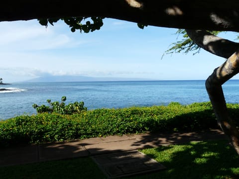 View Honokeana Bay and the island of Lanai from your private lanai.