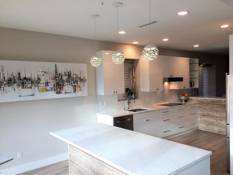 Open plan kitchen - new appliances