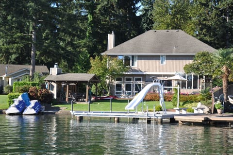 Backyard and back of house